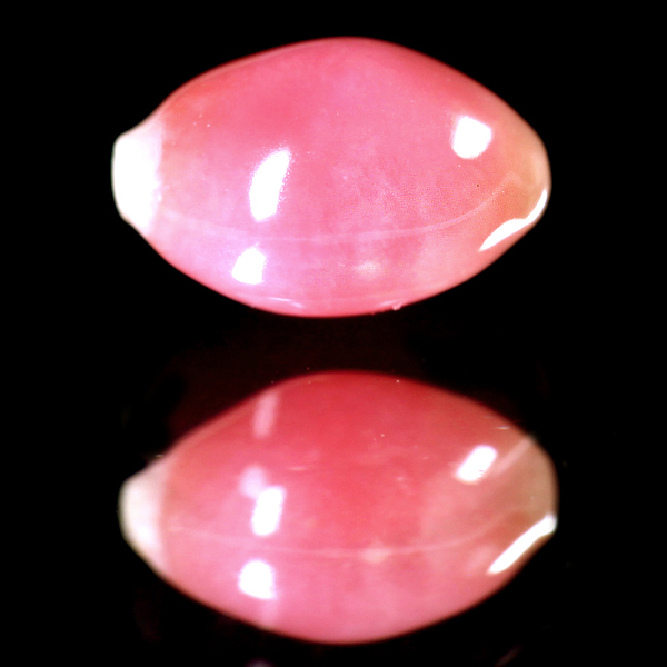 jewel planet 公式サイト / 【特別価格】コンクパールルース 0.558ct