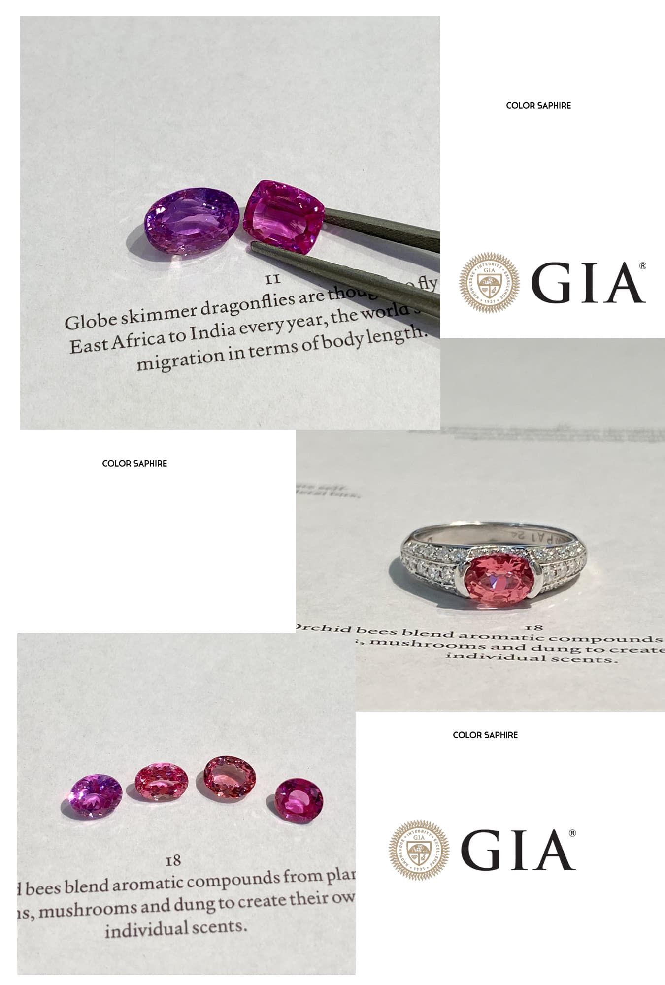 スリランカ産非加熱天然グロッシュラーライトガーネットルース スリランカ産非加熱天然ロードライトガーネットルース